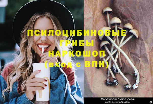 спайс Алексеевка