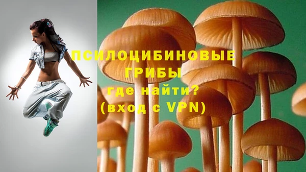 стафф Алзамай