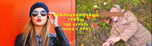 стафф Алзамай